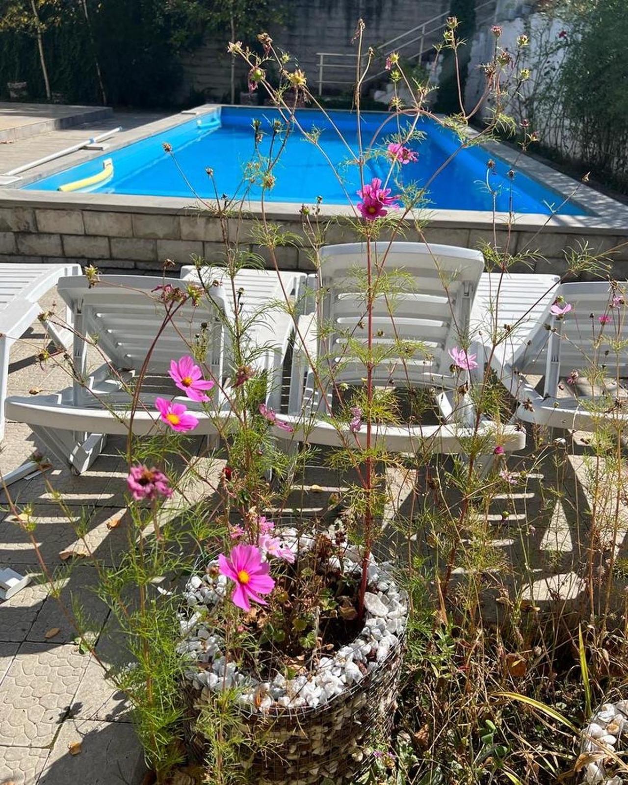 Willa Dilijan Duplex Zewnętrze zdjęcie